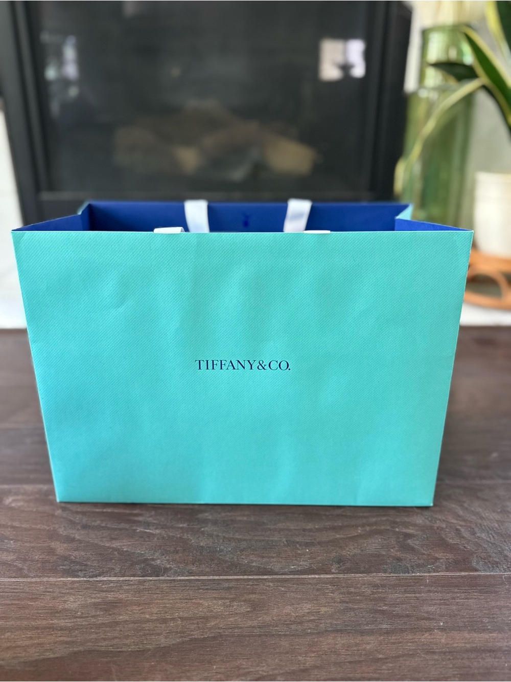 Tiffany & Co. Robin's Egg Blue Gift Bag with Navy Interior